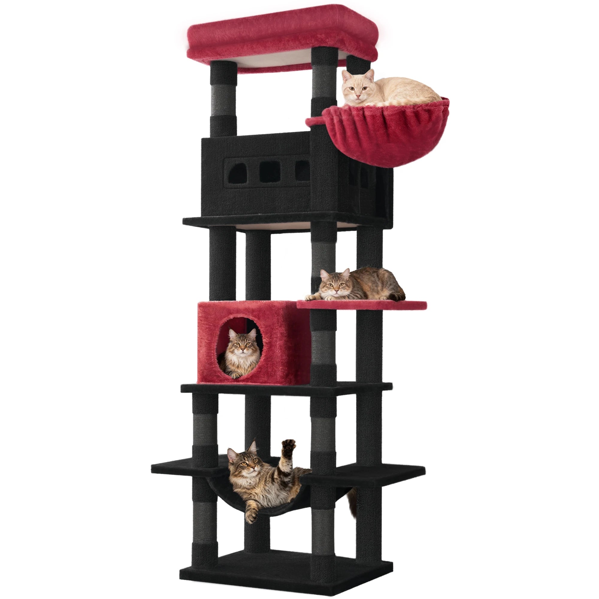 Arbre à Chat Multi-Chats 170cm