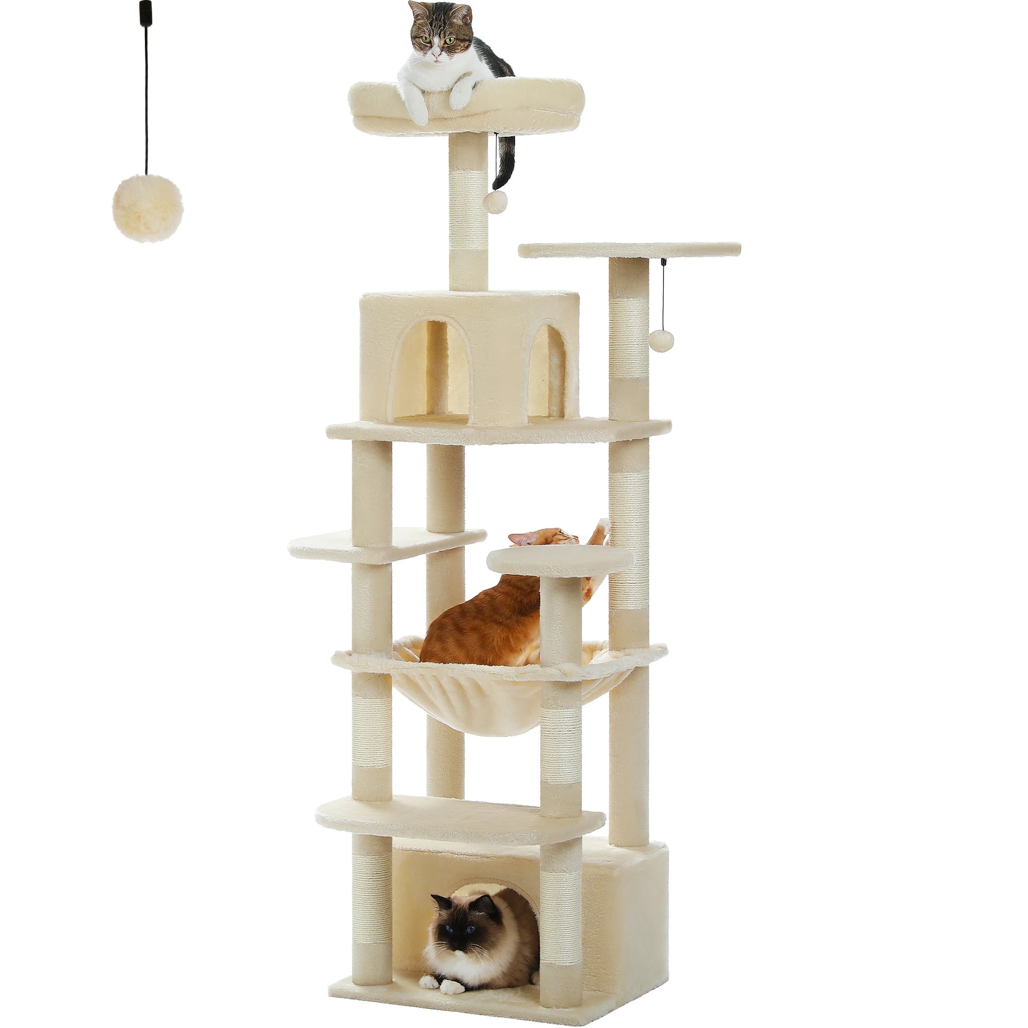 Arbre à chat multi-chats