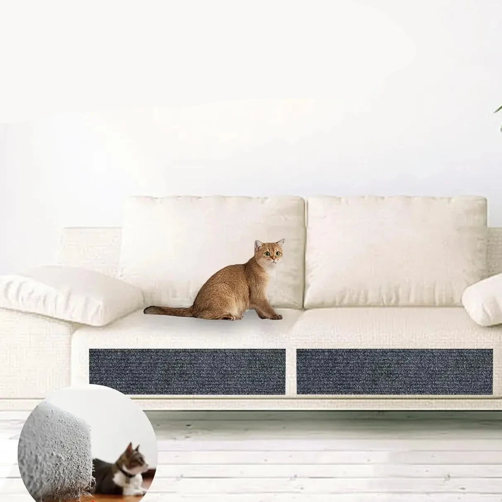 Griffoir adhésif pour chat