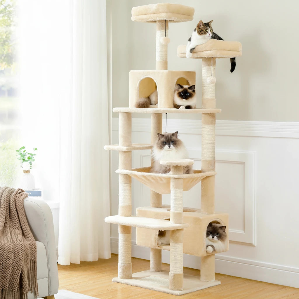 Arbre à chat multi-chats